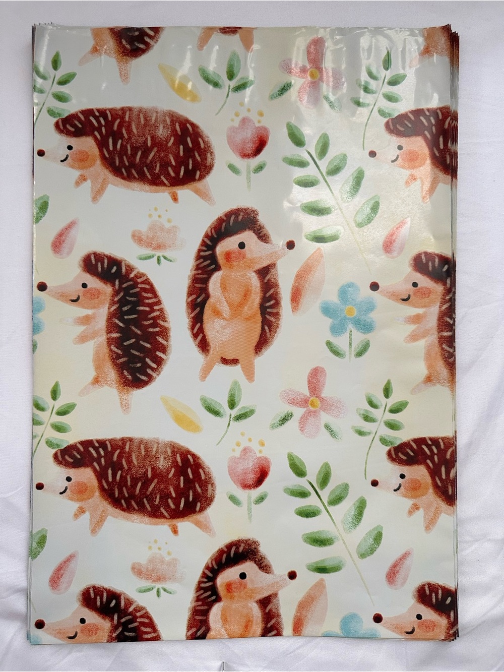 Fall Autumn Poly Mailer Variety Pack 10x13 Pumpkin Spice Happy Fall Hedgehogs - Picture 7 of 14